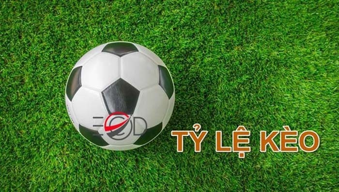 Bí Quyết Soi Kèo - Cách Tính Kèo Bóng Đá Chuẩn Xác Nhất